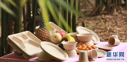 七十二變，竹產業拔節向上——環保科技賦能傳統產業煥新