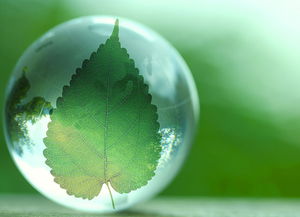 十三五環?？萍键c將專項 推動行業實現全方位跨越